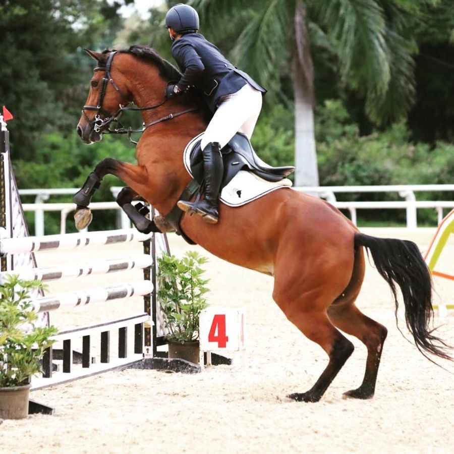 Kekhriesilie Rio at the FEI World Jumping Challenge 2020 (South Zone) held in Bangalore earlier this month.